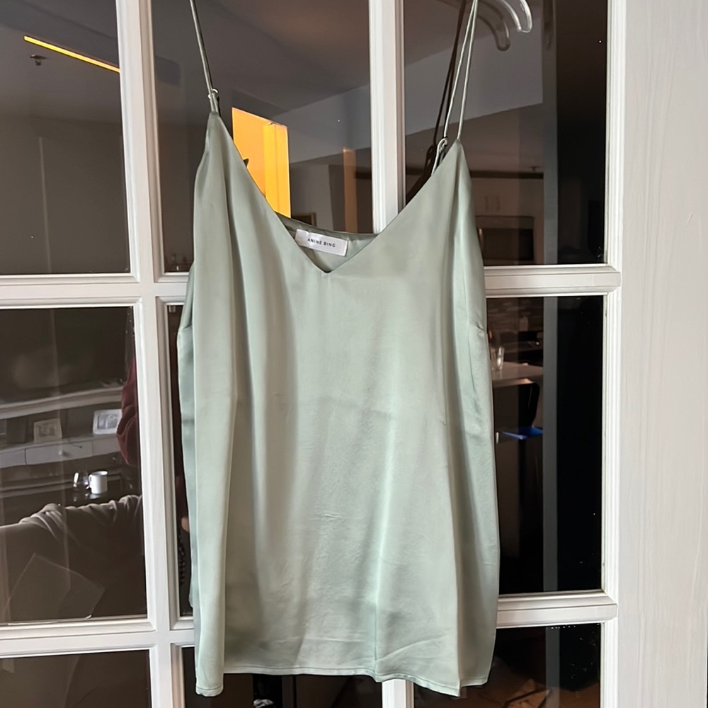 Anine bing sage green silk top